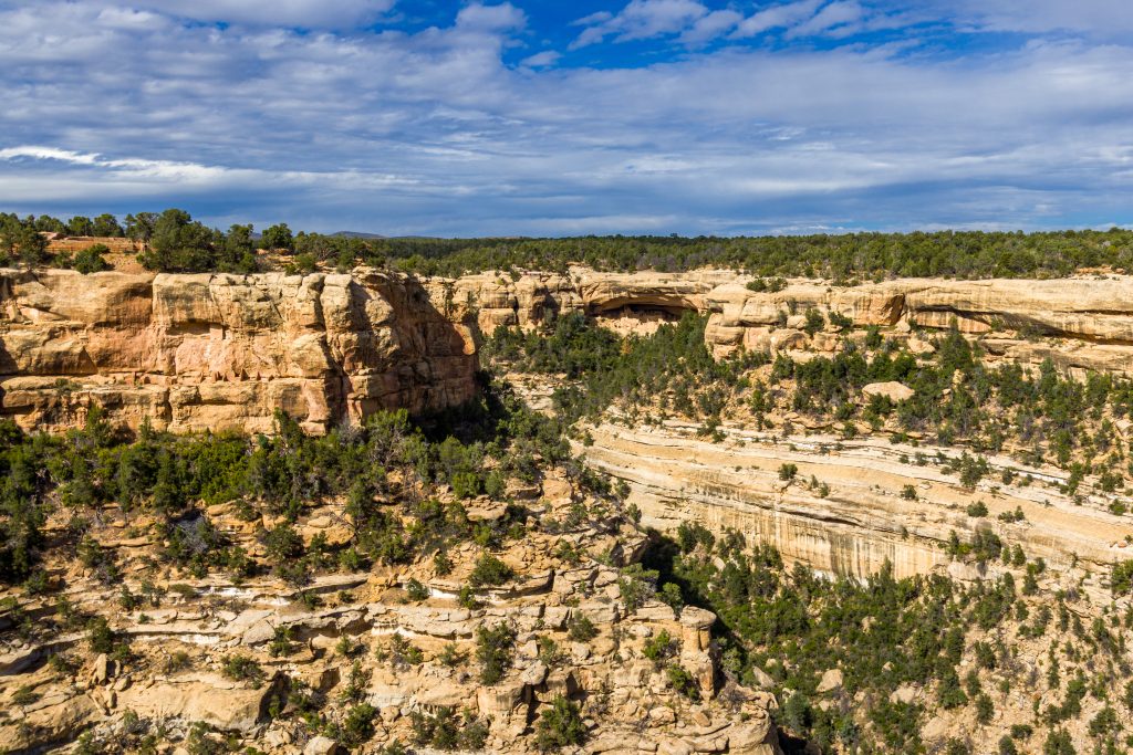 Top of Mesa in Mesa Verde National Park, Colorado