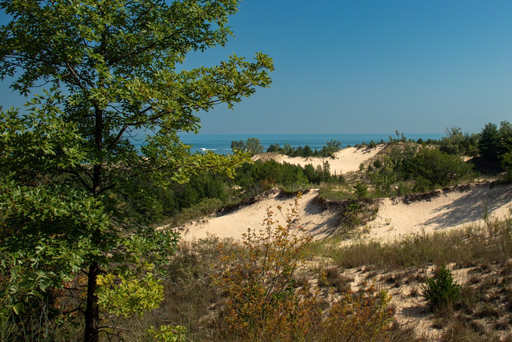 San Dune in Indiana Dunes National Park, Indiana