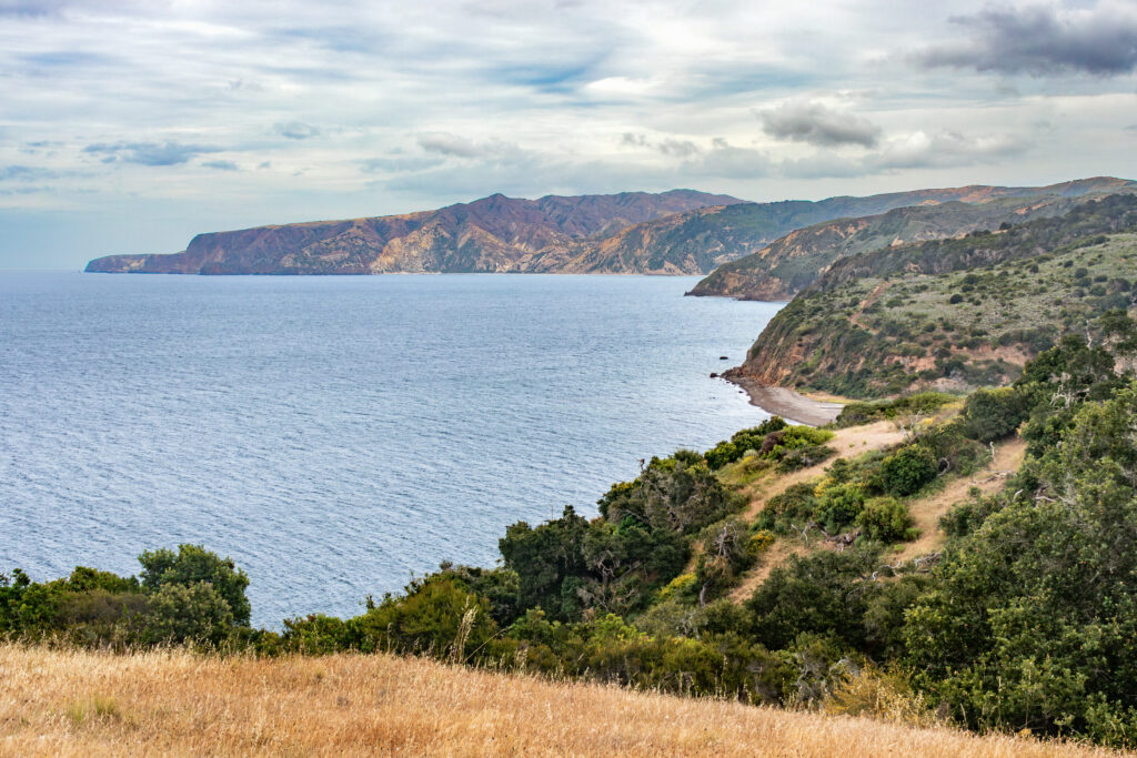 Prisoners Harbor - Channel Islands NP - CA