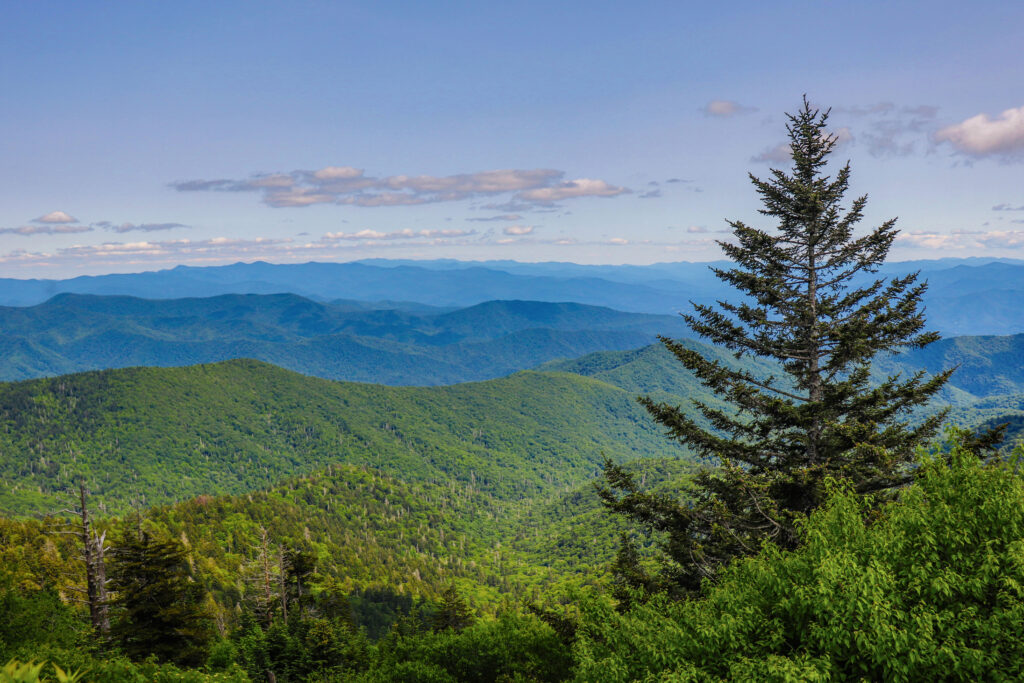 Clingmans Dome - Great Smoky Mountains NP - TN